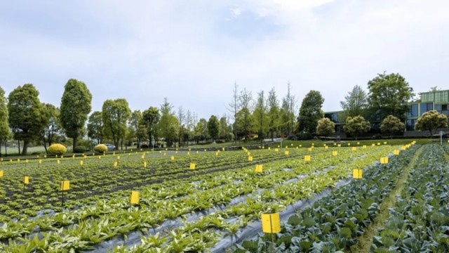 農(nóng)業(yè)農(nóng)村部2021年農(nóng)產(chǎn)品倉儲保鮮冷鏈設施項目申報指南